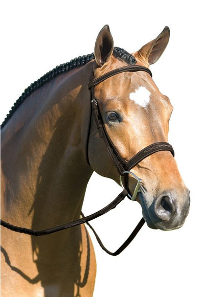 Rodrigo Pessoa Wide Noseband Show Bridle