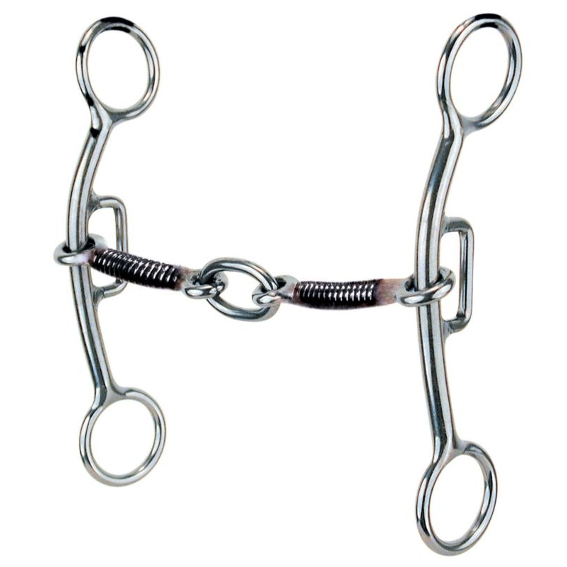 Reinsman Sharon Camarillo Lifesaver Plus Touch Bit