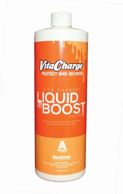 Vita Charge Liquid Boost 32 Oz