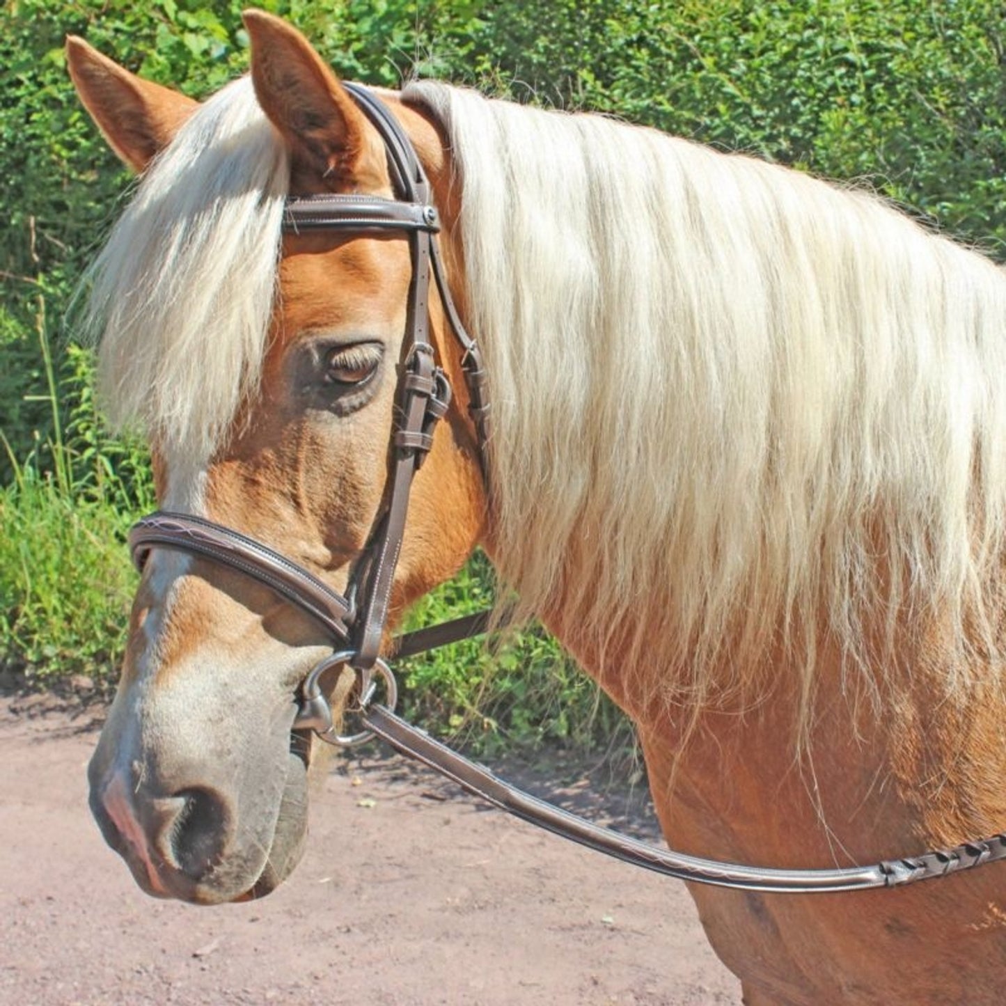 TX1660000_908273_01.jpg