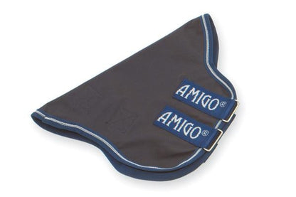 aarn41_bi00.jpg
