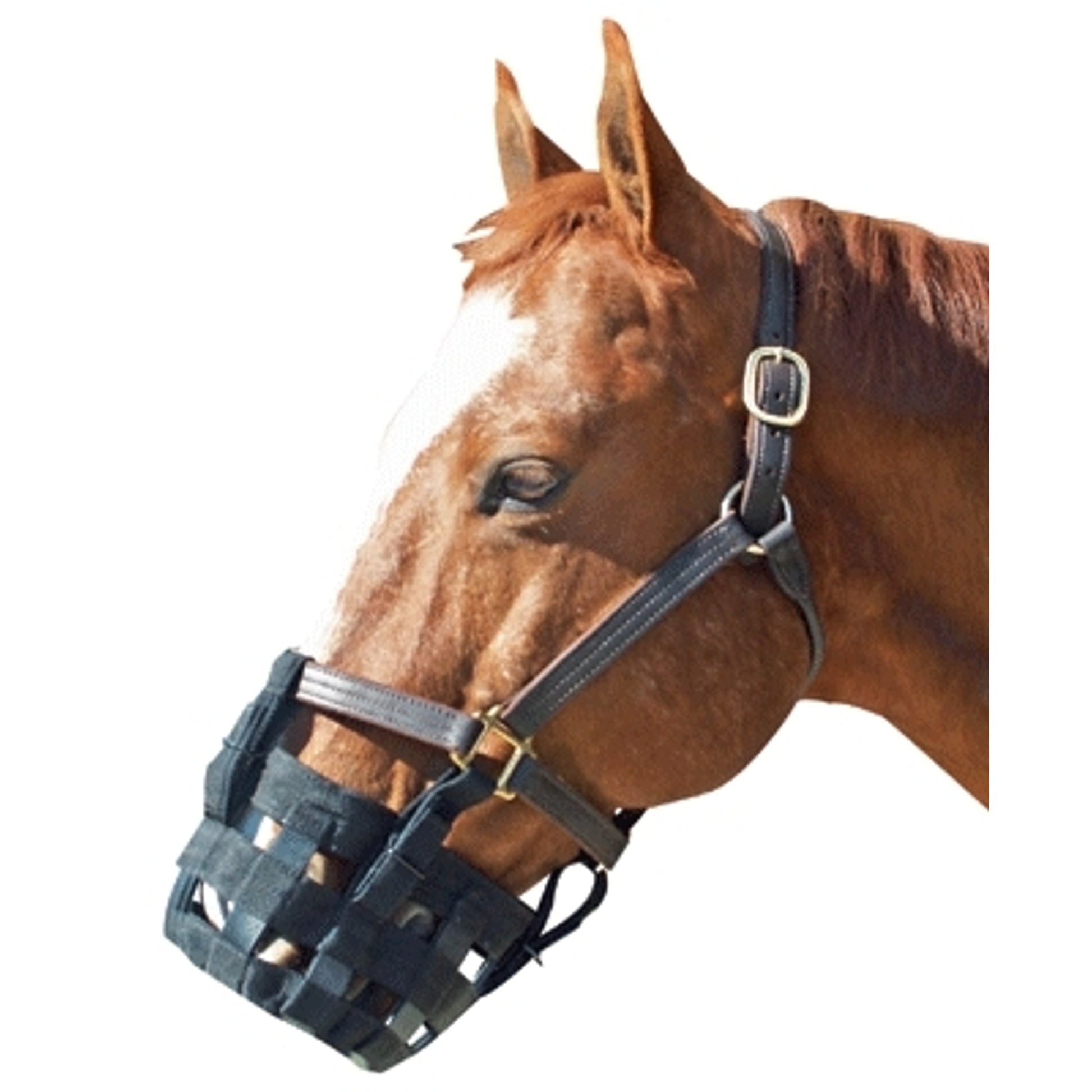 Best Friend Standard Grazing Muzzle