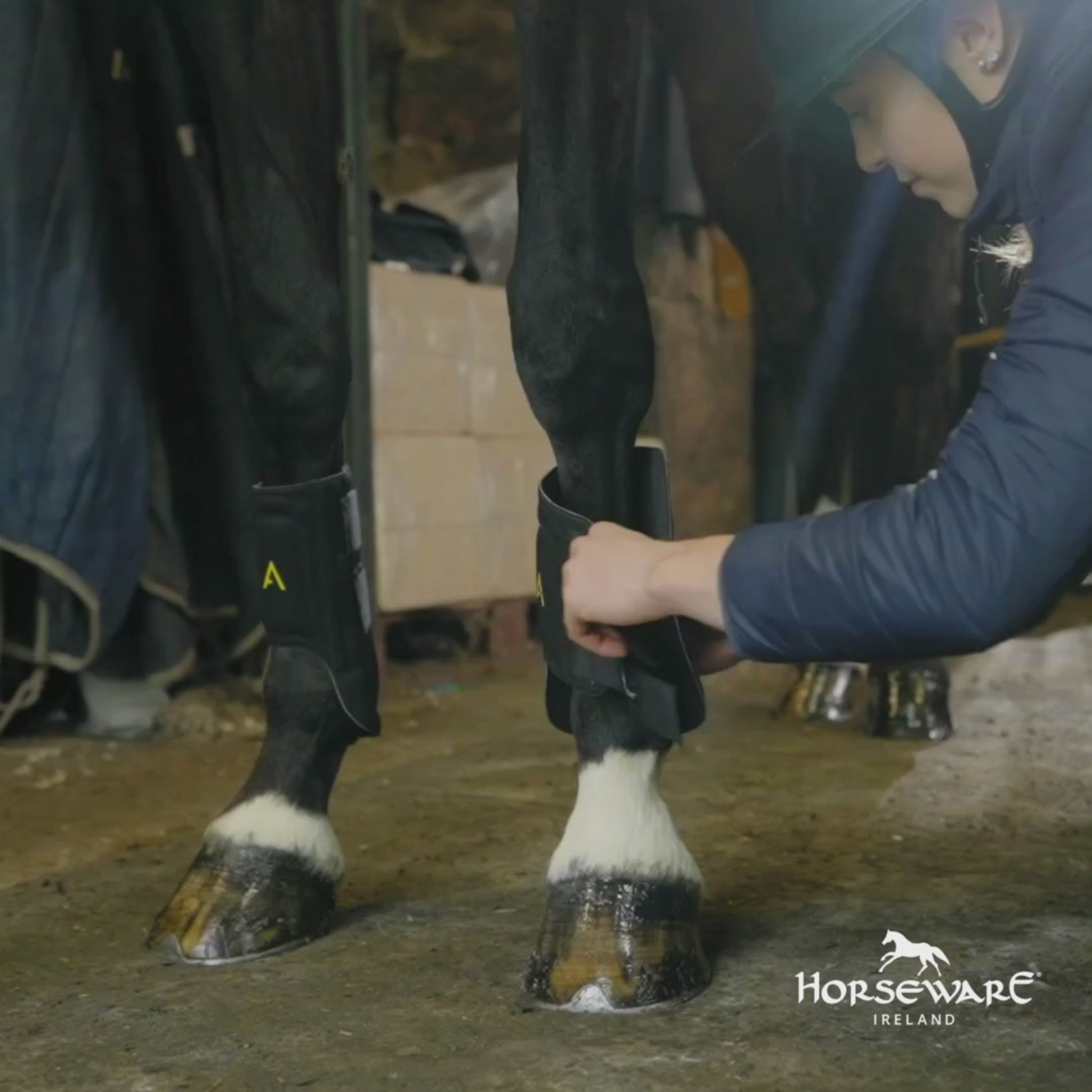 Horseware Adagio Boots